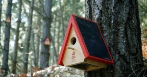 Arduino detektor požárů - Birdhouse alarm