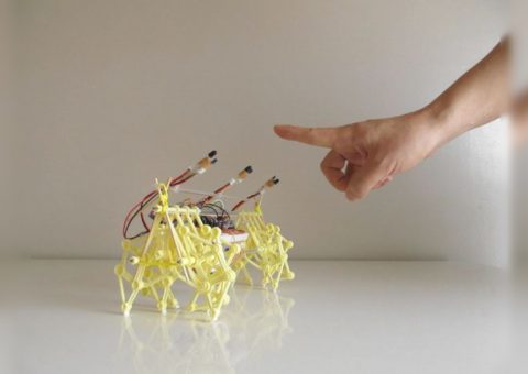 Arduino Strandbeest