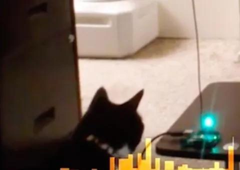 Arduino kapacitní senzor pohybu