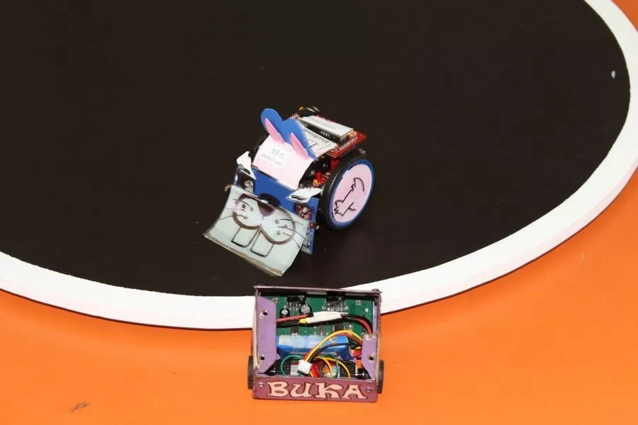 Mini sumo roboti